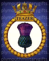 HMS Teazer Magnet